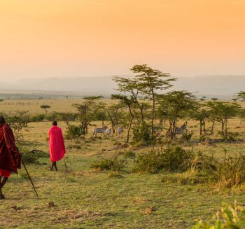 masai-marchant-dans-la-brousse-au-coucher-de-soleil-au-kenya-roca83-34422-491x328x85x0x350x328x1715599742